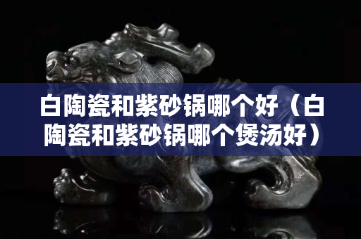 白陶瓷和紫砂锅哪个好（白陶瓷和紫砂锅哪个煲汤好）