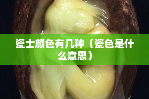 瓷士颜色有几种（瓷色是什么意思）