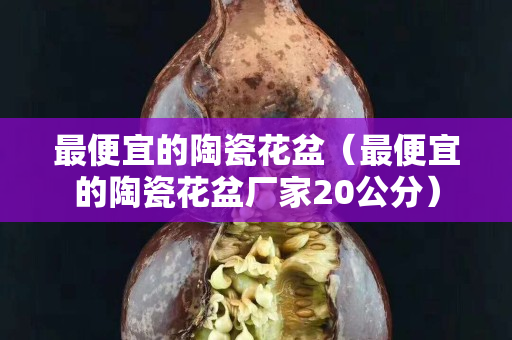 最便宜的陶瓷花盆（最便宜的陶瓷花盆厂家20公分）