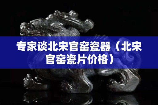 专家谈北宋官窑瓷器（北宋官窑瓷片价格）
