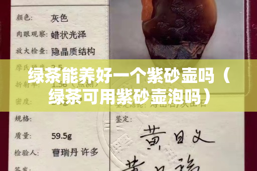 绿茶能养好一个紫砂壶吗（绿茶可用紫砂壶泡吗）