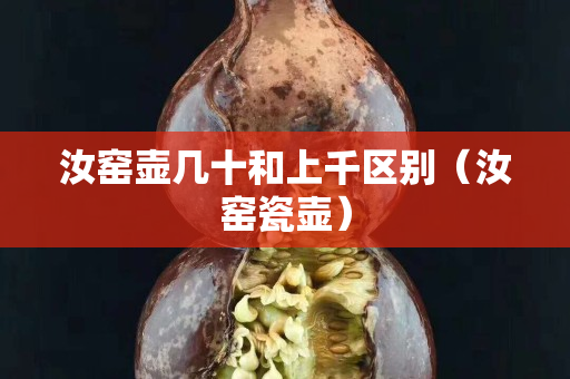汝窑壶几十和上千区别（汝窑瓷壶）