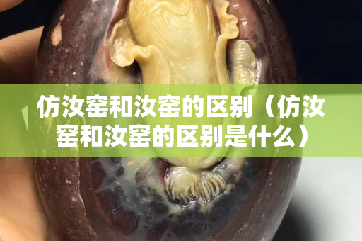 仿汝窑和汝窑的区别（仿汝窑和汝窑的区别是什么）