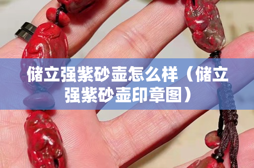 储立强紫砂壶怎么样（储立强紫砂壶印章图）