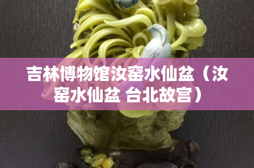 吉林博物馆汝窑水仙盆（汝窑水仙盆 台北故宫）