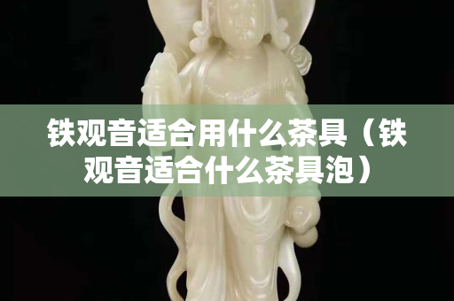 铁观音适合用什么茶具（铁观音适合什么茶具泡）
