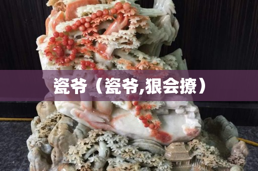 瓷爷（瓷爷,狠会撩）