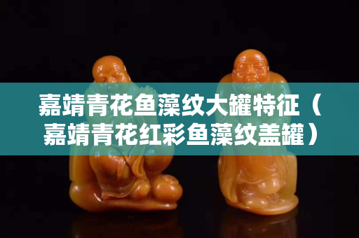 嘉靖青花鱼藻纹大罐特征（嘉靖青花红彩鱼藻纹盖罐）