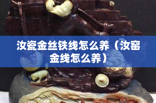 汝瓷金丝铁线怎么养（汝窑金线怎么养）