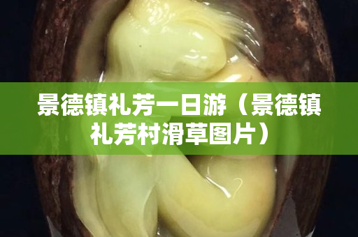 景德镇礼芳一日游（景德镇礼芳村滑草图片）