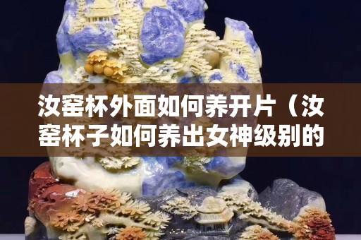 汝窑杯外面如何养开片（汝窑杯子如何养出女神级别的开片）