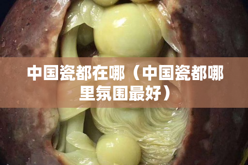 中国瓷都在哪（中国瓷都哪里氛围最好）