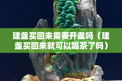 建盏买回来需要开盏吗（建盏买回来就可以喝茶了吗）