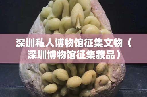 深圳私人博物馆征集文物（深圳博物馆征集藏品）
