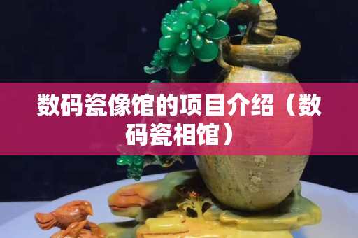 数码瓷像馆的项目介绍（数码瓷相馆）