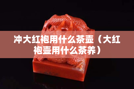 冲大红袍用什么茶壶（大红袍壶用什么茶养）