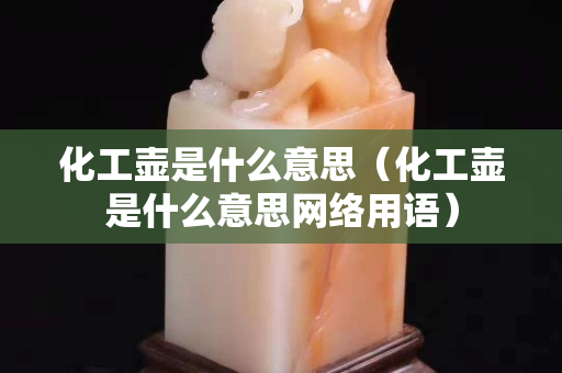 化工壶是什么意思（化工壶是什么意思网络用语）