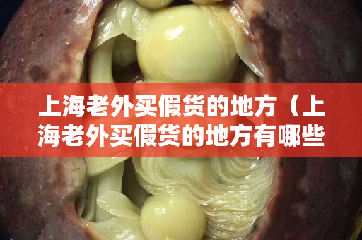 上海老外买假货的地方（上海老外买假货的地方有哪些）
