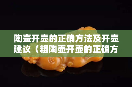 陶壶开壶的正确方法及开壶建议（粗陶壶开壶的正确方法）