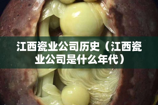 江西瓷业公司历史（江西瓷业公司是什么年代）
