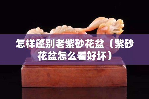 怎样篷别老紫砂花盆（紫砂花盆怎么看好坏）