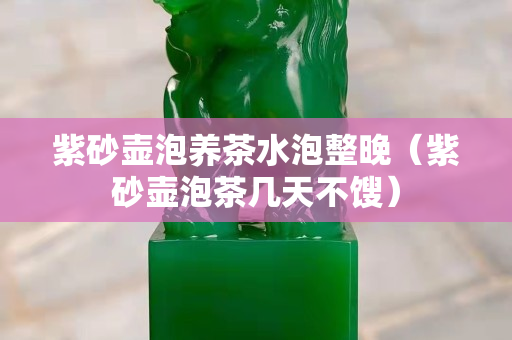 紫砂壶泡养茶水泡整晚（紫砂壶泡茶几天不馊）
