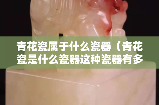青花瓷属于什么瓷器（青花瓷是什么瓷器这种瓷器有多少年的历史了）