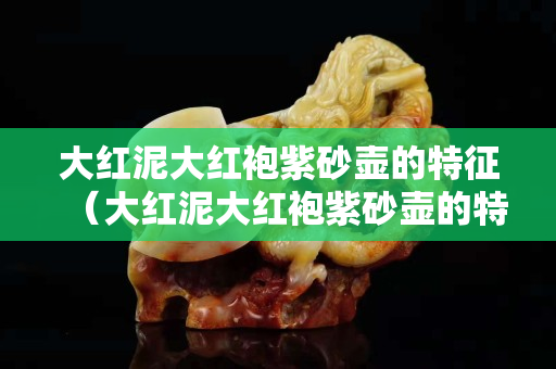 大红泥大红袍紫砂壶的特征（大红泥大红袍紫砂壶的特征视频）