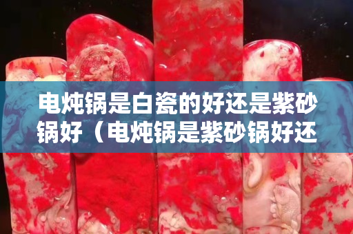电炖锅是白瓷的好还是紫砂锅好（电炖锅是紫砂锅好还是白瓷锅好）