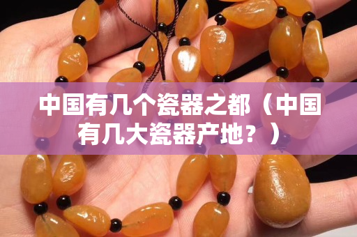 中国有几个瓷器之都（中国有几大瓷器产地？）
