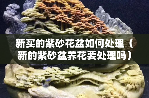 新买的紫砂花盆如何处理（新的紫砂盆养花要处理吗）