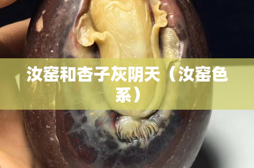 汝窑和杏子灰阴天（汝窑色系）