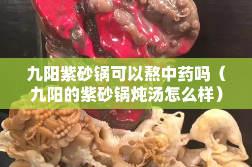 九阳紫砂锅可以熬中药吗（九阳的紫砂锅炖汤怎么样）