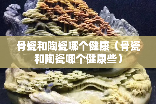 骨瓷和陶瓷哪个健康（骨瓷和陶瓷哪个健康些）