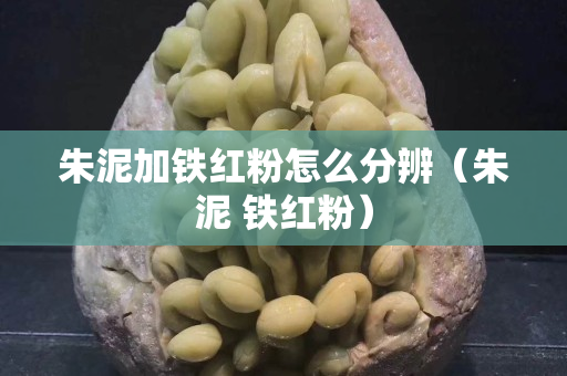 朱泥加铁红粉怎么分辨（朱泥 铁红粉）