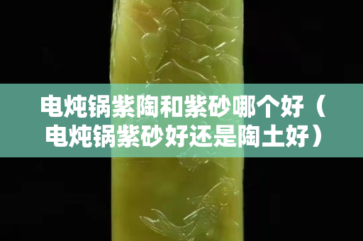 电炖锅紫陶和紫砂哪个好（电炖锅紫砂好还是陶土好）
