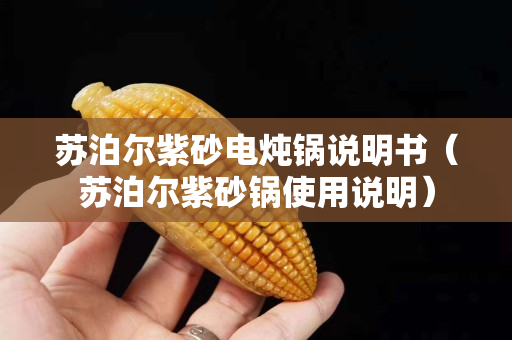 苏泊尔紫砂电炖锅说明书（苏泊尔紫砂锅使用说明）