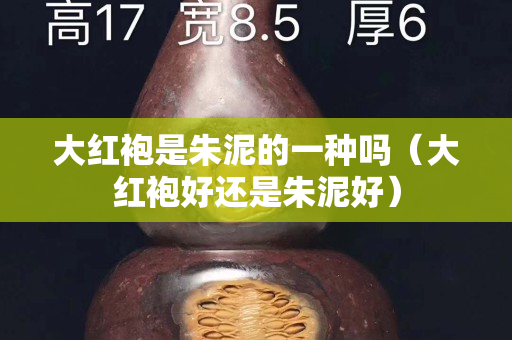 大红袍是朱泥的一种吗（大红袍好还是朱泥好）