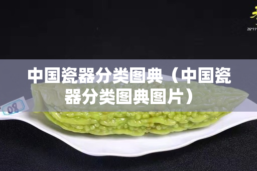 中国瓷器分类图典（中国瓷器分类图典图片）