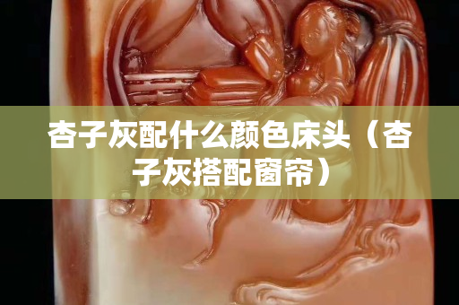 杏子灰配什么颜色床头（杏子灰搭配窗帘）