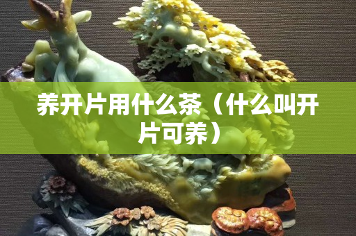 养开片用什么茶（什么叫开片可养）