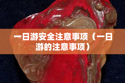 一日游安全注意事项（一日游的注意事项）