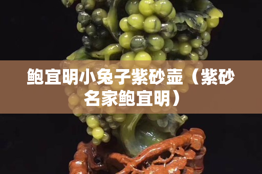 鲍宜明小兔子紫砂壶（紫砂名家鲍宜明）