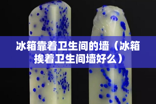 冰箱靠着卫生间的墙（冰箱挨着卫生间墙好么）