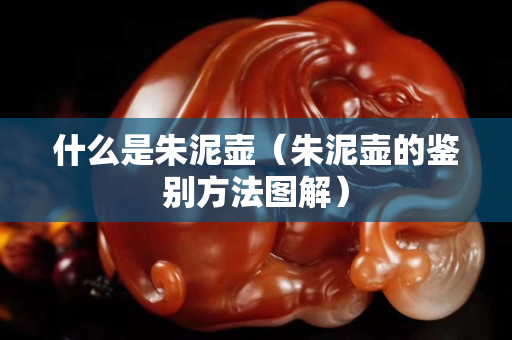 什么是朱泥壶（朱泥壶的鉴别方法图解）