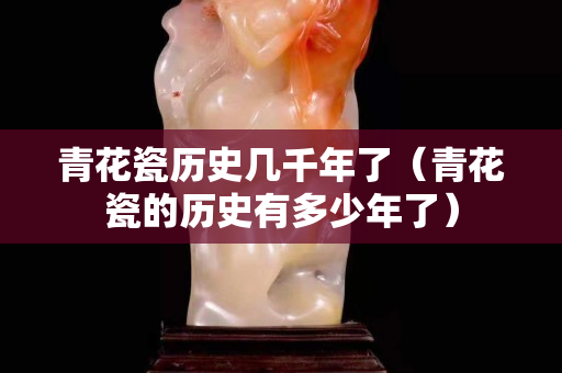 青花瓷历史几千年了（青花瓷的历史有多少年了）