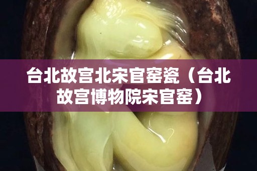 台北故宫北宋官窑瓷（台北故宫博物院宋官窑）