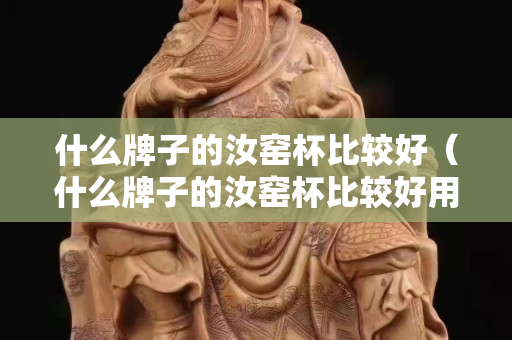 什么牌子的汝窑杯比较好（什么牌子的汝窑杯比较好用）