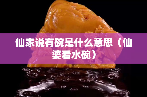 仙家说有碗是什么意思（仙婆看水碗）