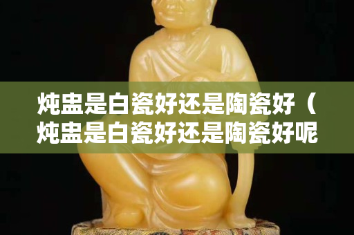 炖盅是白瓷好还是陶瓷好（炖盅是白瓷好还是陶瓷好呢）